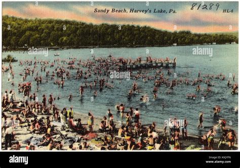 Sandy Beach at Harvey's Lake, Pennsylvania (81289 Stock Photo - Alamy