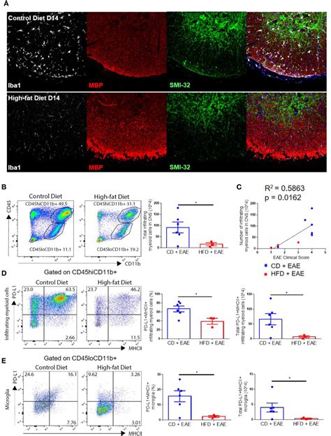 Frontiers PD 1 Blockade Reverses Obesity Mediated T Cell Priming