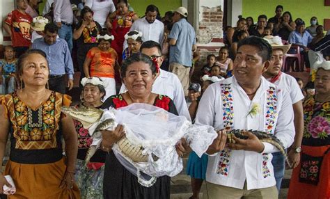 Alcalde mexicano se casa con caimán en ritual ancestral La Prensa de