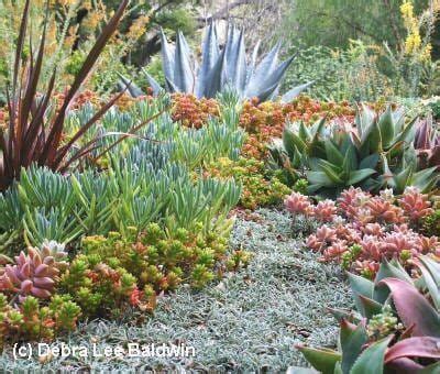 Aloes Uses Photos Ids Varieties Debra Lee Baldwin Drought