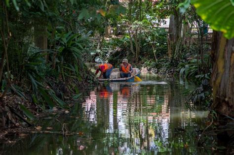 Realiza Dirección de Medio Ambiente acciones en el Parque La Señoría de