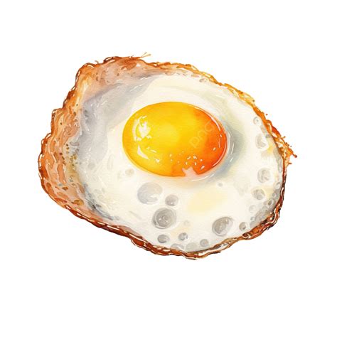 Watercolor Fried Egg, Watercolor, Clip Art, Hand PNG Transparent Image ...