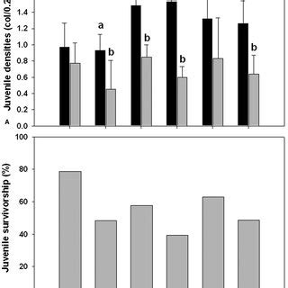 Spatial And Temporal Variability In Overall Mean Juvenile Densities