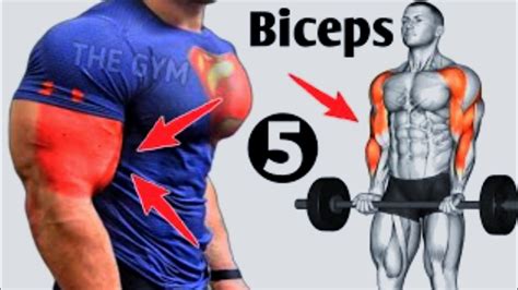 Biceps Building Exercises At Home Biceps Workout At Home With Dumbbells Youtube