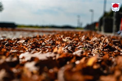 Uzdrowisko Horyniec Sp Z O O Wybieraj I Rezerwuj Pakiety