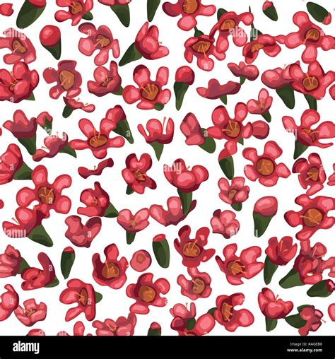 Vector Flower Seamless Pattern Background Elegant Texture For