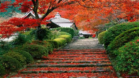 🔥 [110+] Kyoto Wallpapers HD | WallpaperSafari