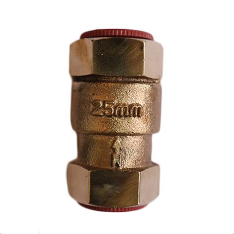 Golden Gun Metal Vertical Check Valve At Best Price In Jalandhar