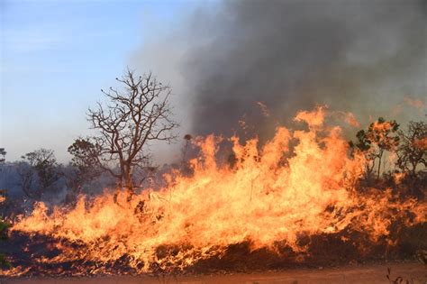 Grande Incêndio Favorecido Pela Seca Afeta Parque Nacional De