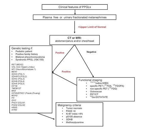 Figure 3 Endotext