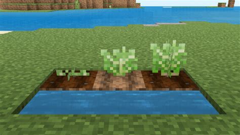 More Plants Minecraft Addon