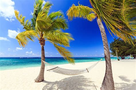 Which Caribbean Island Has the Best Beaches - Daily Subscriber