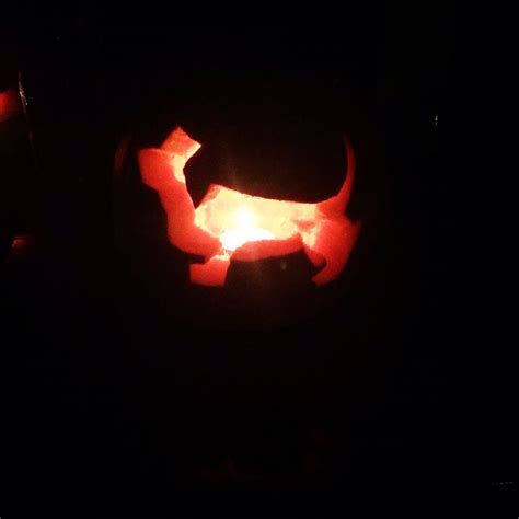 Dachshund pumpkin carving | Pumpkin carving, Carving, Dachshund