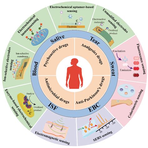 Biosensors Free Full Text Revolutionizing Precision Medicine