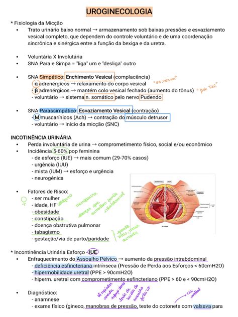 Uroginecologia O Que É - UROGINECOLOGIA | PDF