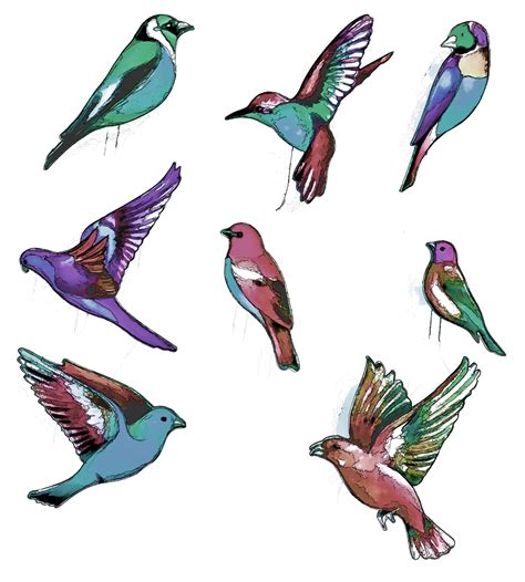 Tropical Birds Transparent Free Stock Photo - Public Domain Pictures