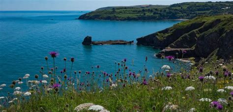 Great coastal walks in Devon