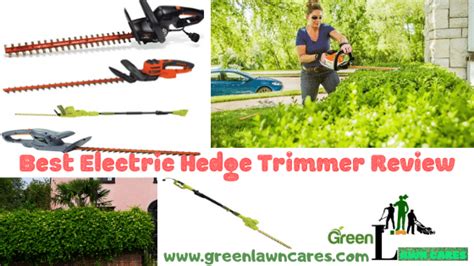 Best Electric Hedge Trimmers Review - Green Lawn Cares