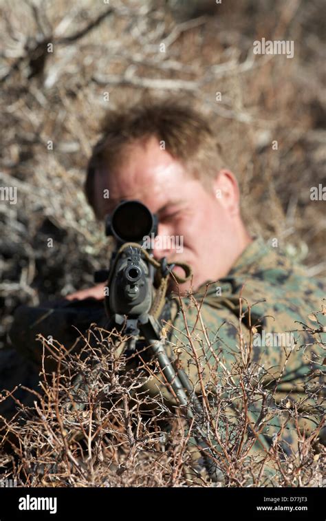 US Marine Corps Scout Sniper Aiming M14 Designated Marksman Rifle