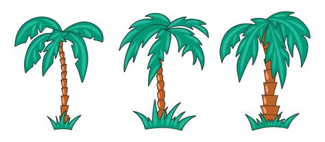 Vector Graphics Of Different Shapes Of Palm Tree Colored With A Stroke