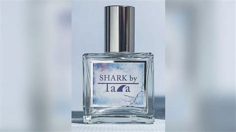 'Shark Week' to 'Sharknado': Why We're Obsessed With Sharks - ABC News