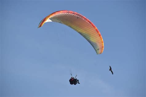 What is paragliding-Complete Guide