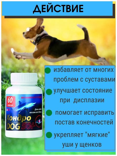 Хондропротектор ХондроДог 50+ Silver Track 60 капсул, Хондро Дог для ...
