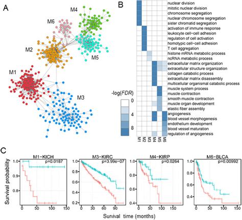 The Pan Cancer Network A Topological Organization Of The Pan Cancer Download Scientific