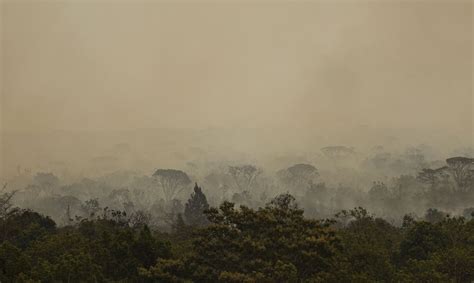 Incêndio No Parque Nacional De Brasília Foi Controlado Radioagência