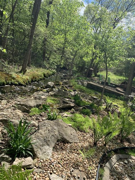 My backyard enjoying some sun. : r/gardening