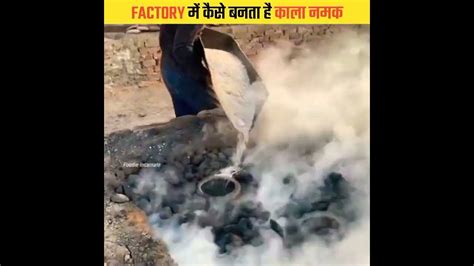 फैक्टरी मे काला नमक कैसे बनाया जाता हैंhow To Make Black Saltfacts Factsinhindishortsvideo