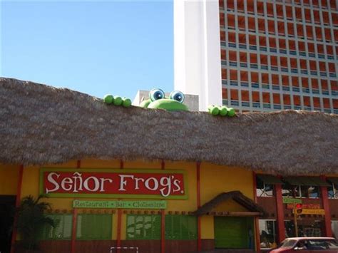 Senor Frog's Mazatlan - Restaurant Reviews, Photos & Phone Number ...