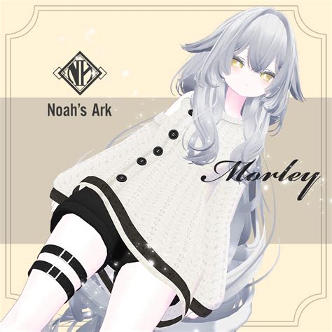 noahsarka booth