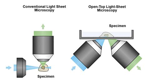 Light Sheet Microscopy Courses | Americanwarmoms.org