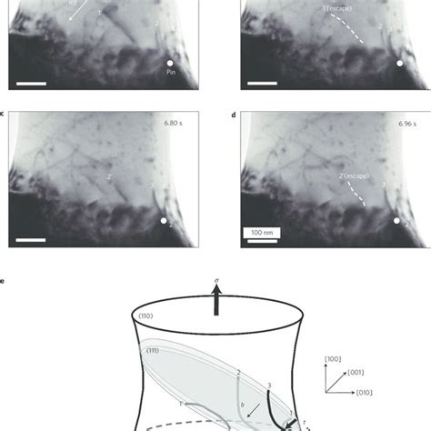 Dislocation Density Measured As A Function Of The Axial Strain