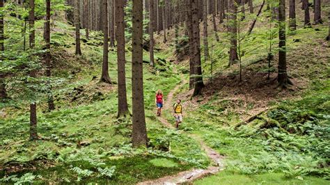 Wandern in der Böhmischen Schweiz Auf den Schneeberg outdoor magazin