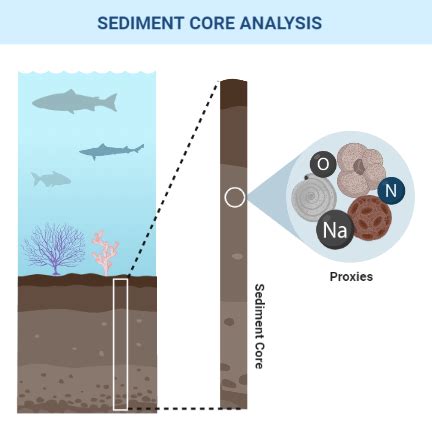 Sediment Core BioRender Science Templates