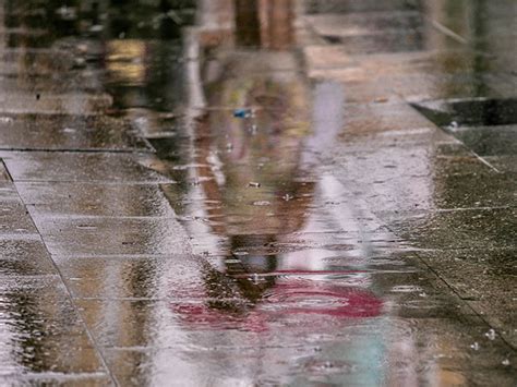 Las Lluvias Acumuladas Desde El De Octubre Hasta El De Marzo Apenas