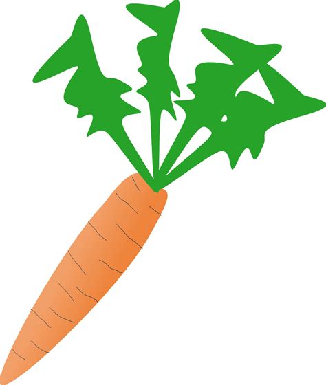 Carrot Clipart - Clipart.World