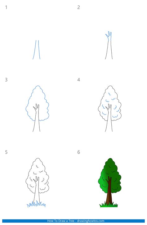 How To Draw A Tree Step By Step Easy