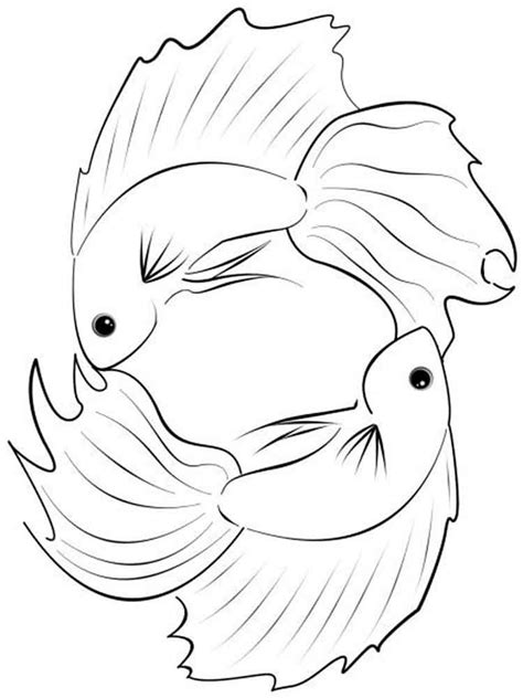 Betta Fish Coloring Pages Best Coloring Pages For Kids