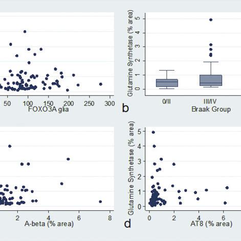 GS Expression Associates With Alzheimer Type Pathology Increasing GS