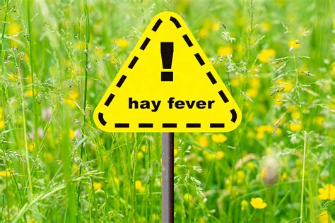 10 Tips To Ease Allergy Symptoms In The Hay Fever Season Silversurfers