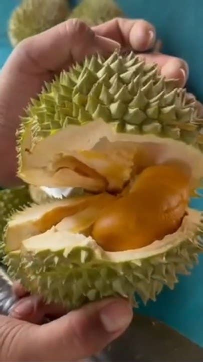 Amazing Durian Unboxing Master In Malaysia Fruit Cutting Skills Kuala Lumpur Durian Black