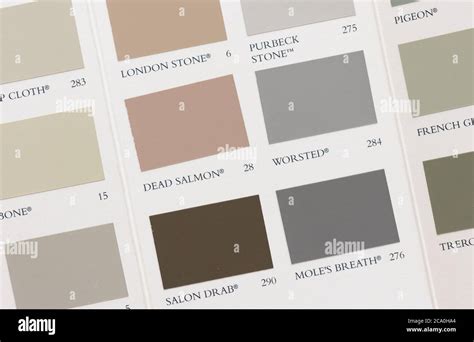 Paint Color Chart Farrow Ball Wood Stain, PNG, 2487x1592px,, 56% OFF