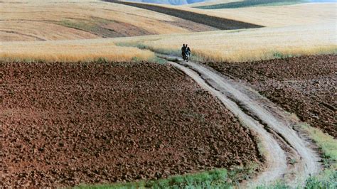 Abbas Kiarostami The Photographer — Blind Magazine