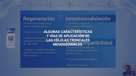 Características y Vías de Aplicación de las Células Troncales