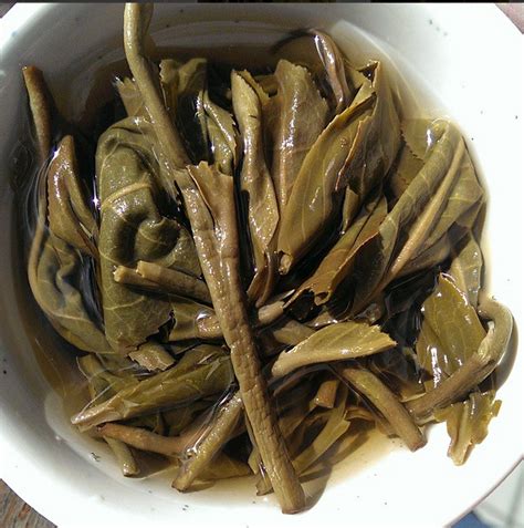 2014 Yunnan Sourcing Autumn Lao Shu Bai Cha Old Arbor Raw Pu-erh Tea C ...