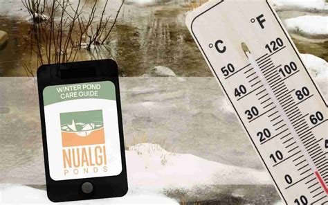 Pond Winterization Guide Protect Aquatic Life Equipment With Nualgi