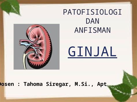 Pptx Patofisiologi And Anatomi Fisiologi Manusia Ginjal Dokumen Tips